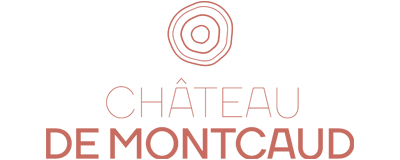 Chateau de Montcaud