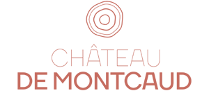 Chateau de Montcaud