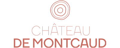 Chateau de Montcaud
